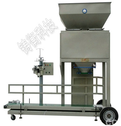 雙斗雙頭定量包裝秤