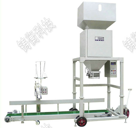 �w���������b�C